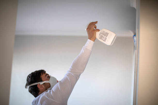 Best Insurance-Related Mold Remediation in Jamestown, NC