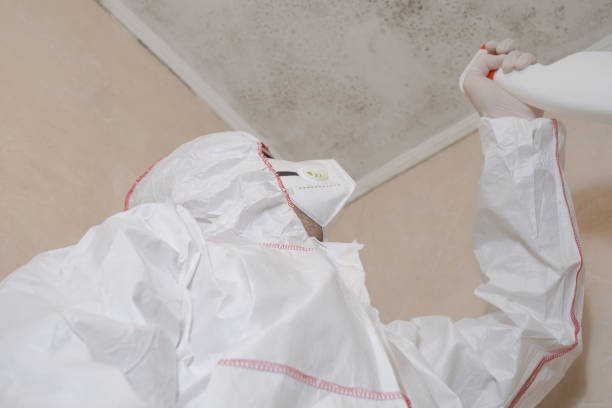Best HVAC Mold Remediation in Jamestown, NC