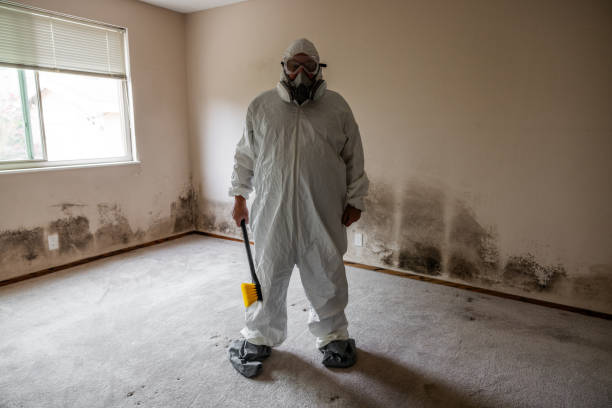 Best Commercial Mold Remediation in Jamestown, NC